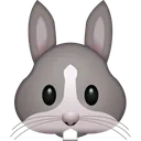 bunny
