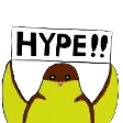 jandonSunnyHypes