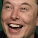 dolphinbroke