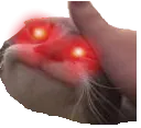 HyperPetted