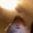 :fan: Discord Emote