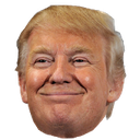 :TrumpApproves: Discord Emote