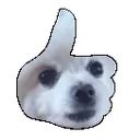 updog