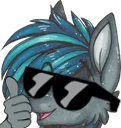 sockthumbsup
