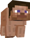 why_is_steve_a_pig why_is_steve_a_pig
