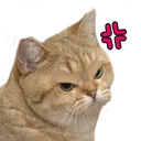stareangry