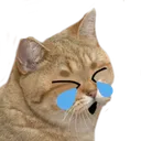 starelaugh