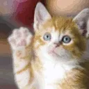 awavekitty