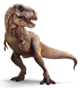 rex rex