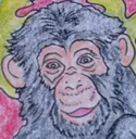 monky