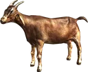 goatgod
