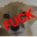 FUCK
