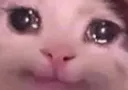 midcry