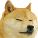 rdogeAngry rdogeAngry