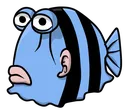 ddm_fish