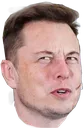ElonWhat ElonWhat