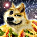 dogeisback