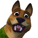dog dog