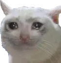 bigsad