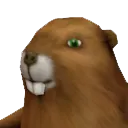 beaver beaver
