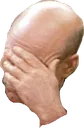 facepalm