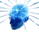 bigbrain