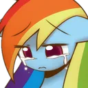 dashcrying1