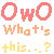 letterOwO