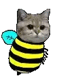 :PepestanMadBaper: Discord Emote