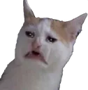sad
