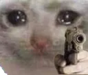 SadCatWithNothingLeftToLose
