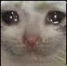 crying_catto