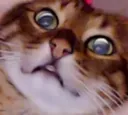 JJWUT