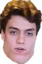 danichin danichin