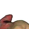 ricardoWave4