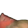ricardoWave7