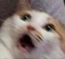 sos