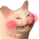 catblush