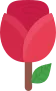 Single_Rose