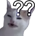 waitwtf