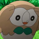 rowletwhy