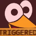 triggered_noot