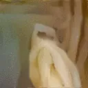 ricardospaghett ricardospaghett