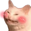 CatBlush