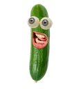 pickle2 pickle2