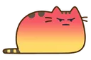 angykat