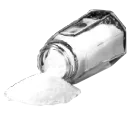 SALTY