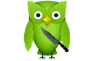 DuoLingo