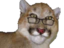 cassigif
