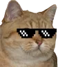 chatcool